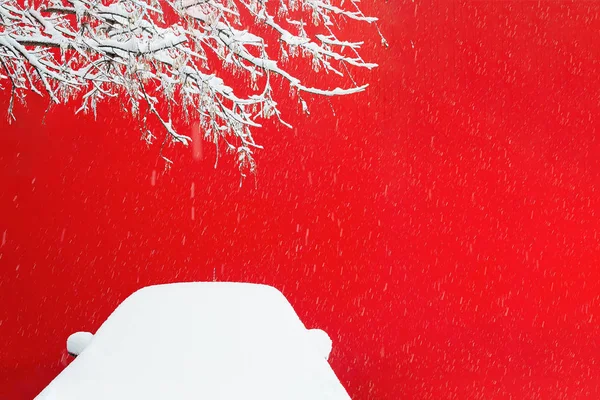 Вид Снежной Ветки Дерева Автомобиля Фоне Красной Стены Время Снегопада — стоковое фото