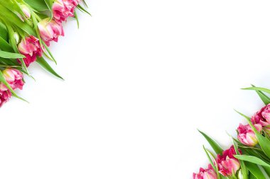 Beyaz arka planda çapraz duran pembe lale çiçeklerinin üst görüntüsü. Daire planı, tatil, hediye, kartpostal, uluslararası kadınlar günü, 8 Mart