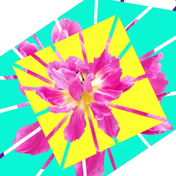 Uma Colagem Moderna Flores Tulipa Fundos Brilhantes Coloridos Conceito Fundo — Fotografia de Stock