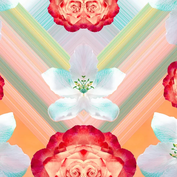 Современный Коллаж Вид Цветы Яблок Роз Красочном Фоне Пастельных Тонах — стоковое фото