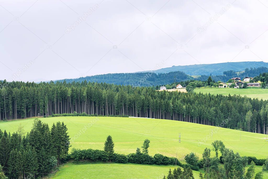 View of manicured alpine meadows against the backdrop of a pine forest and mountains. The concept of landscape, mountains, agriculture