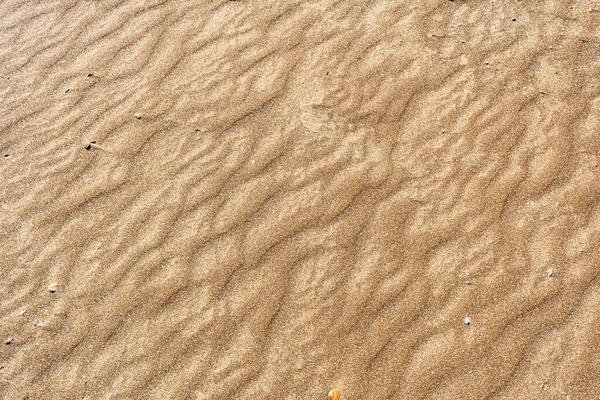 Textura Areia Cor Vermelha Com Padrão Forma Boi Praia Concepção — Fotografia de Stock