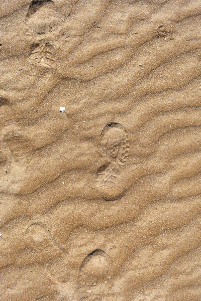 Sand Rød Farge Med Mønster Form Okse Ved Kysten Begrepsbakgrunn – stockfoto