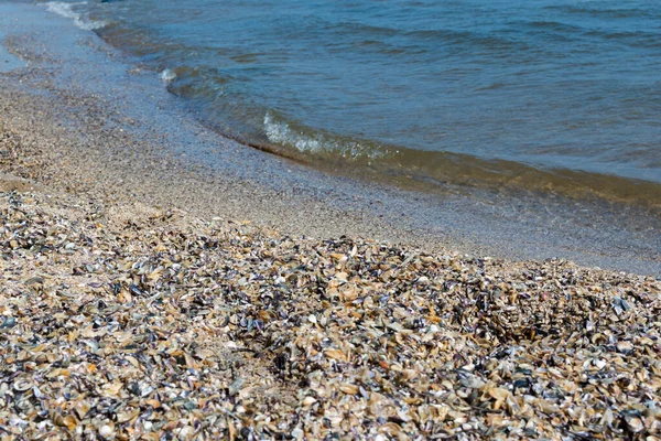 Meerblick Mit Sandstrand Und Muscheln Konzept Landschaft Hintergrund — Stockfoto