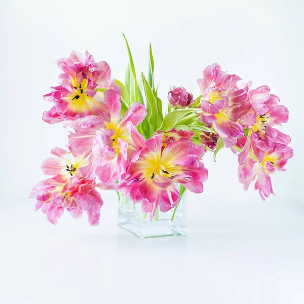 Pohled Skleněnou Obdélníkovou Vázu Kyticí Růžových Tulipánů Bílém Pozadí Koncepce — Stock fotografie