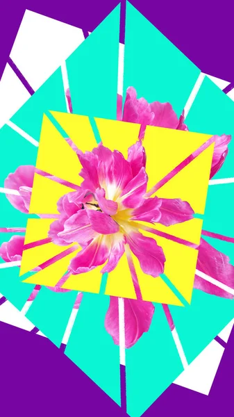 Современный Коллаж Цветов Тюльпана Ярком Фоне Фон Концепции Цветы Праздник — стоковое фото