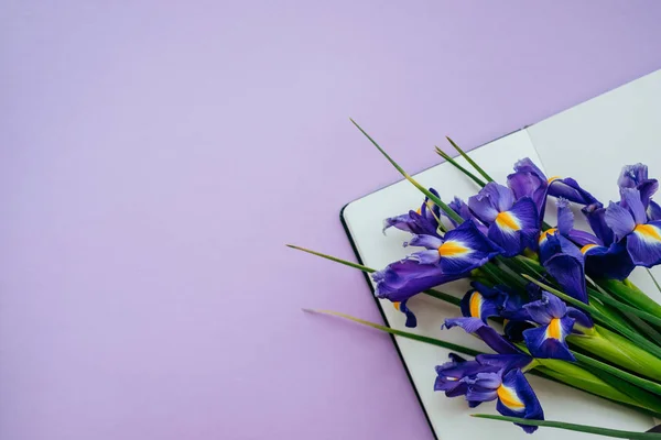 Carnet avec fleurs violettes — Photo