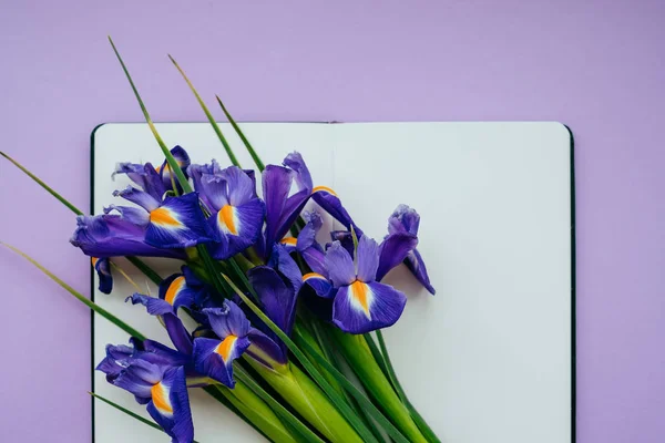 Carnet avec fleurs violettes — Photo