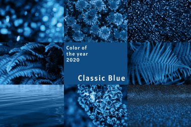 Yıl arkaplanının rengi