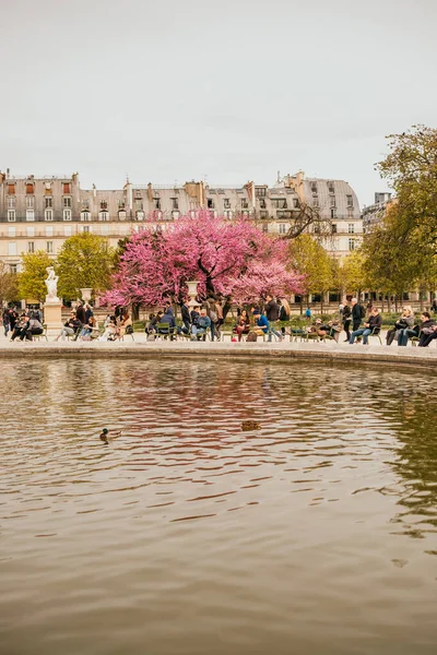 Paris Frankreich April 2019 Brunnen Der Nähe Des Louvre — Stockfoto