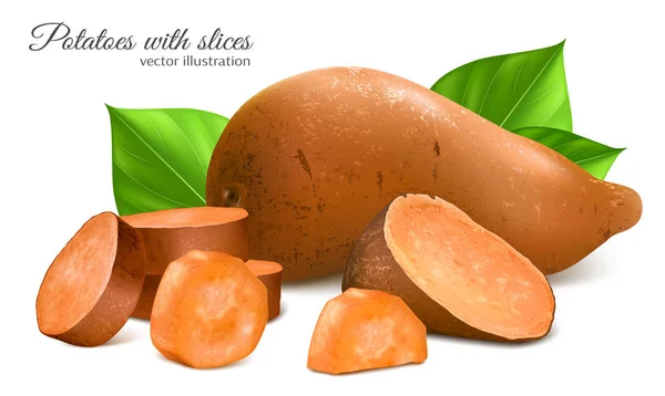 Zoete aardappelen met segmenten en bladeren — Stockvector