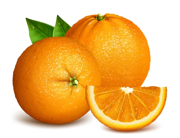 Laranjas maduras inteiras e fatias de laranja — Vetor de Stock