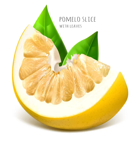 Pomelo slice with green leaves Vector Graphics