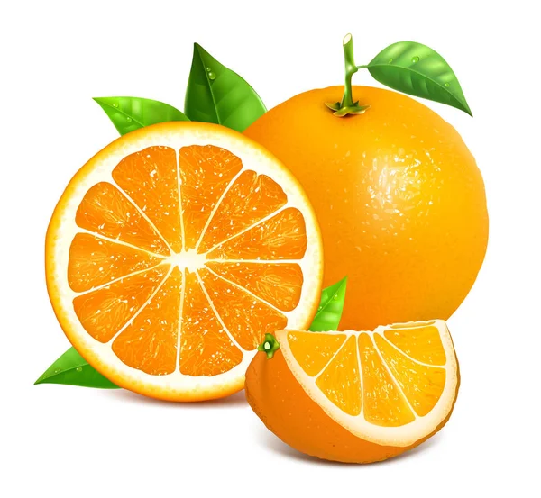 Laranja inteira e fatias de laranjas — Vetor de Stock