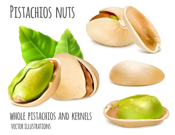 Pistachos vector ilustración — Archivo Imágenes Vectoriales