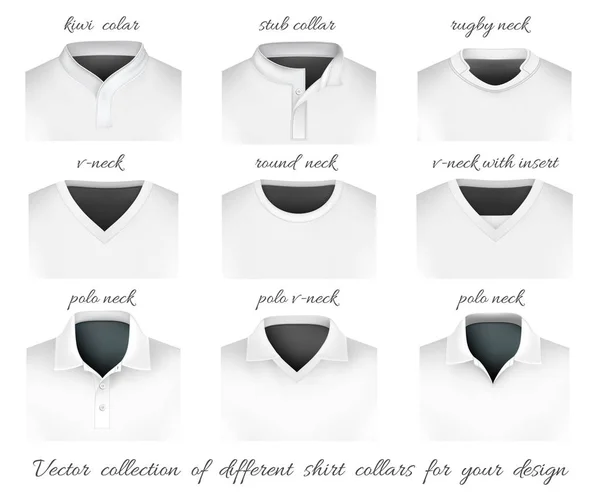 Different collars for your design Vector Graphics