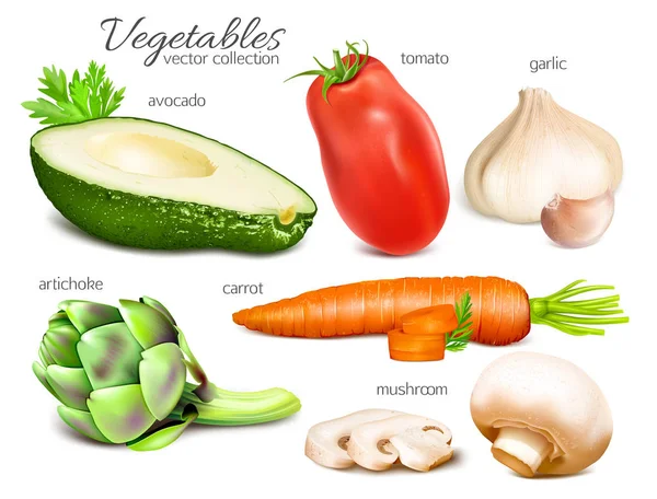 Zöldségfélék gyűjteménye. Vektoros illusztráció. Vektor Grafikák