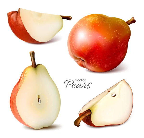 Pears whole and slices Stock Vector