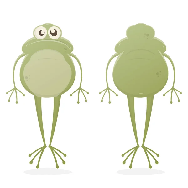 有趣的剪贴画的一只青蛙 — 图库矢量图片