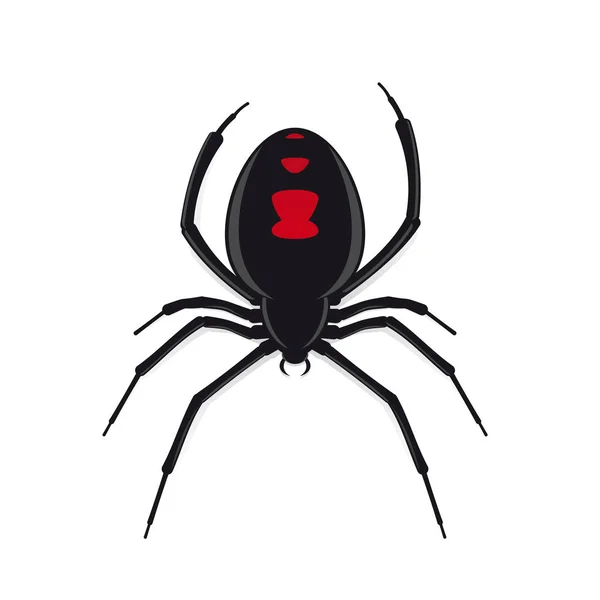 Spinne der schwarzen Witwe — Stockvektor