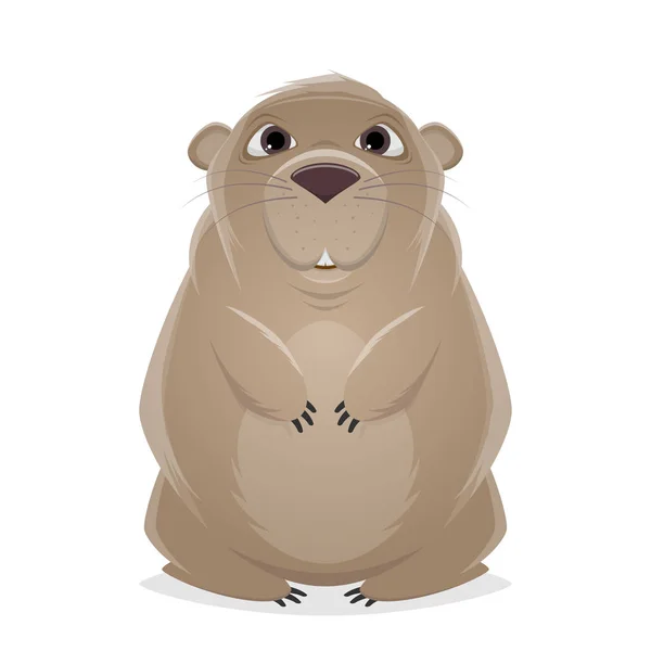 Dessin Animé Drôle Illustration Hamster — Image vectorielle