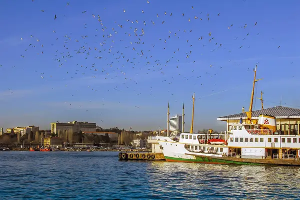 Istanbul Turkey March 2008 Ferry Seagulls Sunny Day — Stock Photo, Image