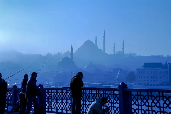 Istanbul, Türkiye, 10 Ocak 2007: balıkçılar Galata köprüsünde