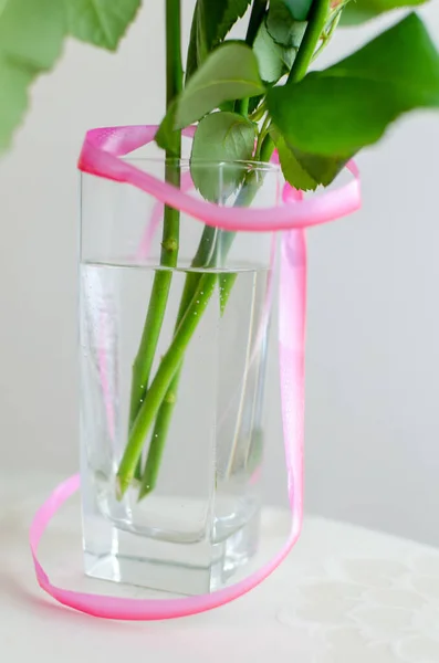 The beautiful pic for desktop. Pink isolated roses in daylight. Vivid petals close-up. Romantic bloom. Green stems in the water