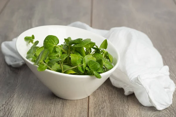 Brunnenkresse in Keramikschale — Stockfoto