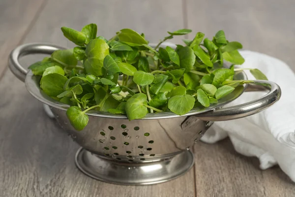 Watercress em Colander com pano — Fotografia de Stock