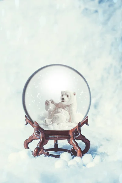 Snowglobe z niedźwiedzia polarnego — Zdjęcie stockowe