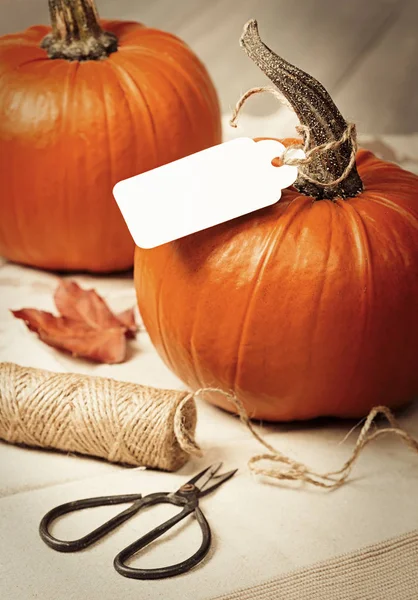 Kalebassen voor Halloween — Stockfoto