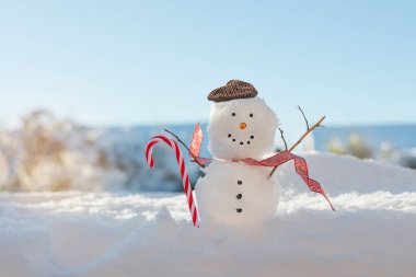 Mutlu gülümseyerek kardan adam şeker kamışı ile
