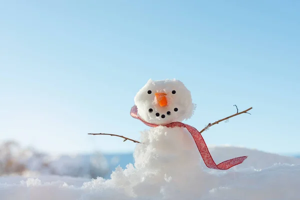 Boneco de neve na paisagem — Fotografia de Stock