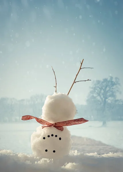 Upside Down Snowman — Stock Photo, Image