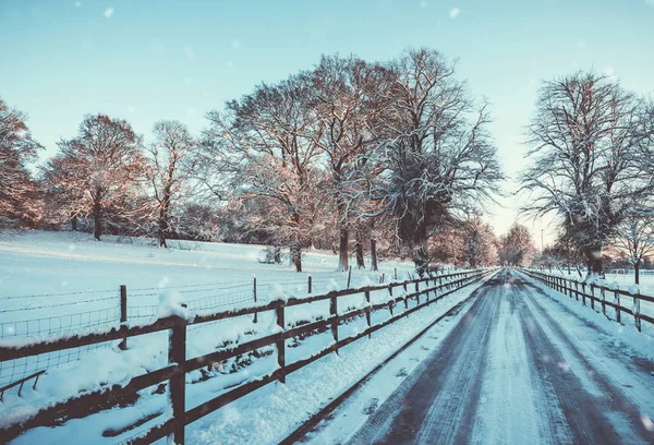 Cenário de inverno — Fotografia de Stock