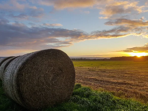 Straw bale in the sunset — Stock Photo, Image