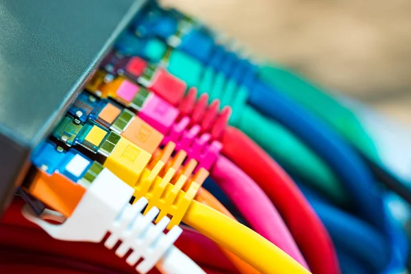 Network Cables — Stock Photo, Image