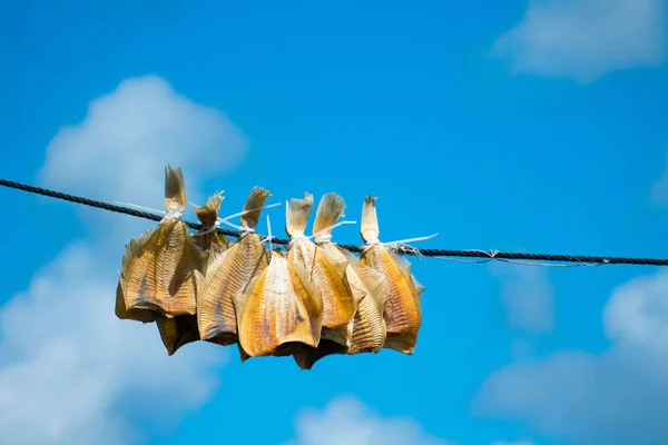 Solla secada al sol — Foto de Stock