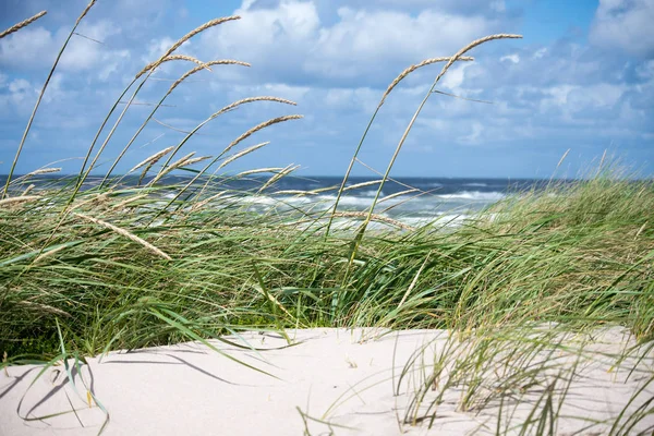 砂丘と海 — ストック写真