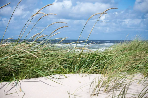 Duinen en de zee — Stockfoto