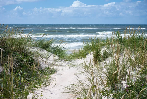 Dünen und Meer — Stockfoto