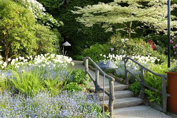 Mooie Rustige Weelderige Tuin — Stockfoto