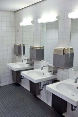 Ortak banyo. Lüks ve farklı aksesuarlar ile temiz genel banyo.