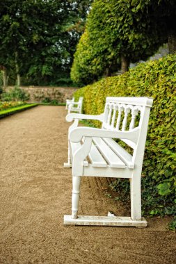 Beyaz ahşap banklar parkta. Ahşap banklar parkta yeşil yemyeşil bitki örtüsü ile çevrili huzurlu sahne.