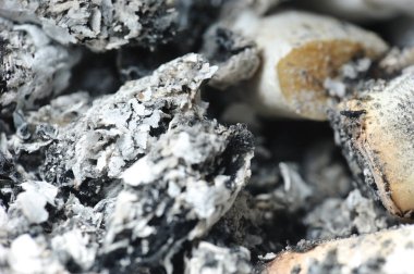 Sigara külleri. Sigara külleri kül tablası içinde closeup ayrıntıları.