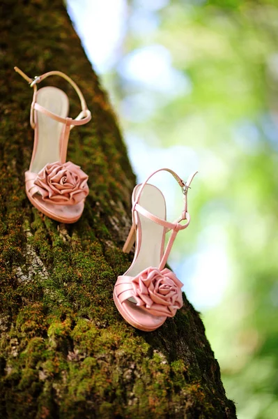 Весільне Взуття Елегантне Рожеве Весільне Взуття Поверхні Стовбура Дерева — стокове фото