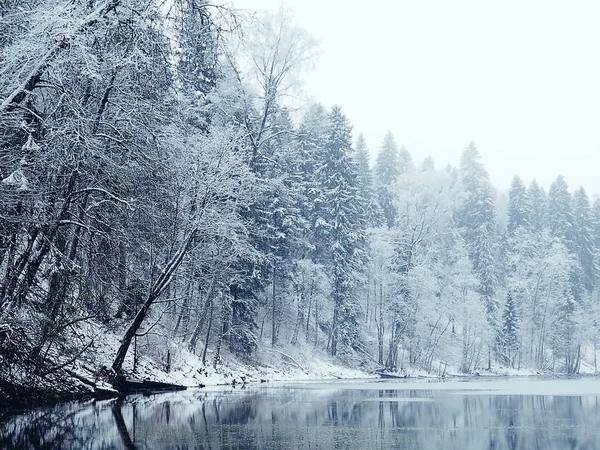 Dark winter forest near lake