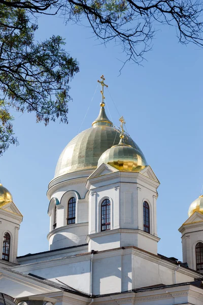 Alexander-Nevsky-Kathedrale. Kuppeln. Simferopol, Krim — Stockfoto
