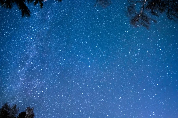 The stars and the Milky Way — Stock Photo, Image